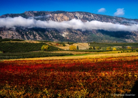 Chelan Fall Magic