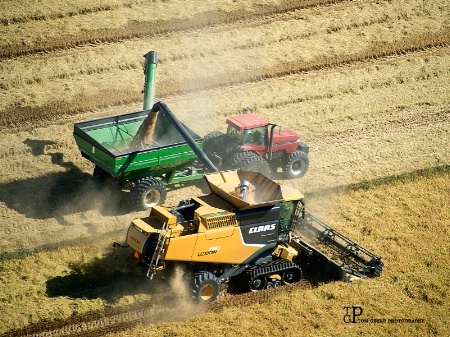 2016 Rice Harvest