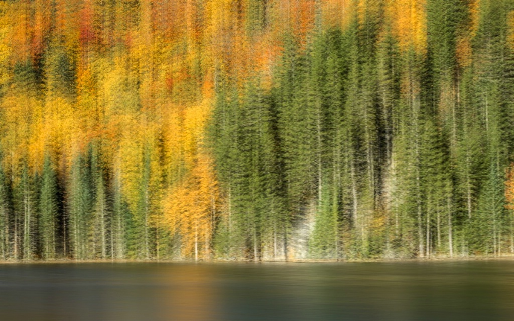 Autumn in the White Mountains