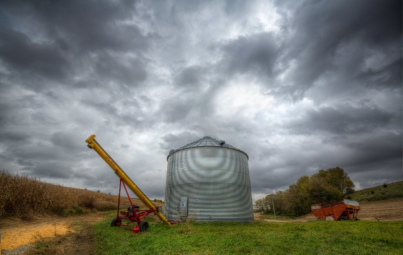 Grain Bin