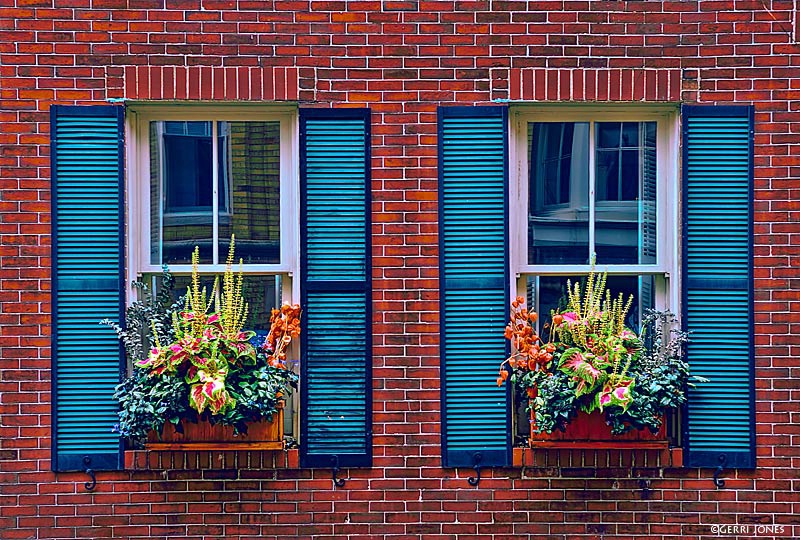 Fall Window Detail