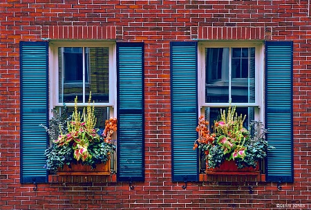Fall Window Detail