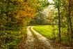 Down The Road