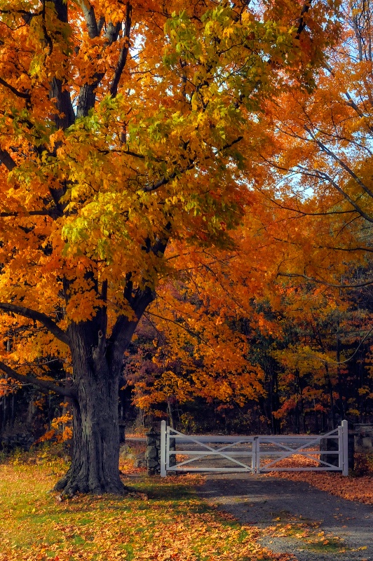Gateway to Autumn