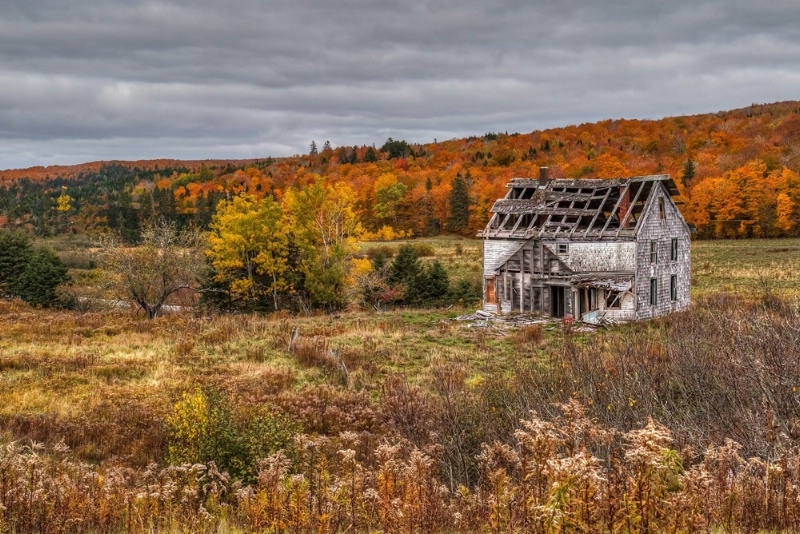 Abandoned in the Fall Colours