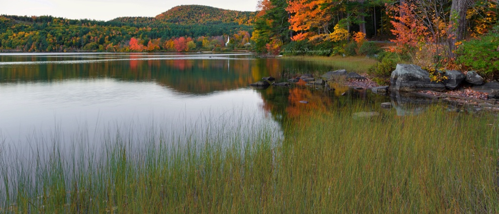 Autumn Reflections