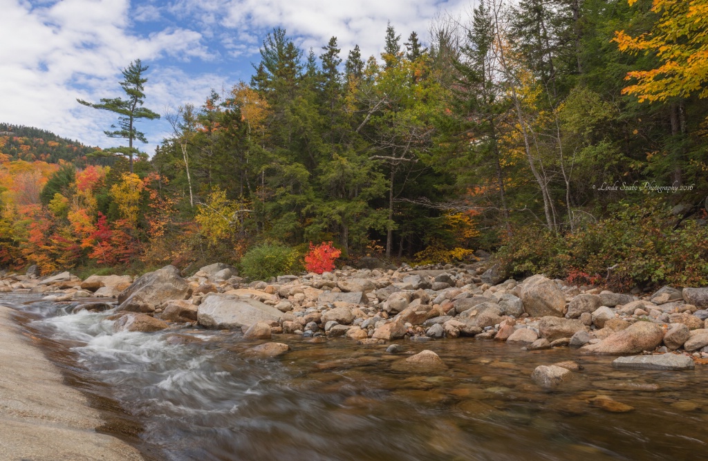 Swift River in Autumn