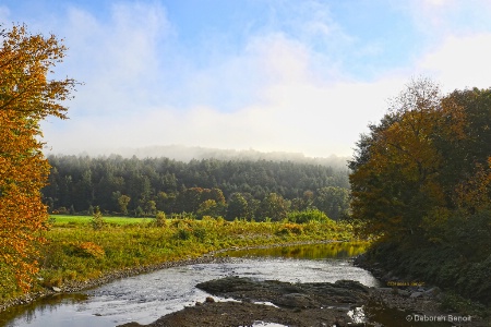 Morning Autumn Fog