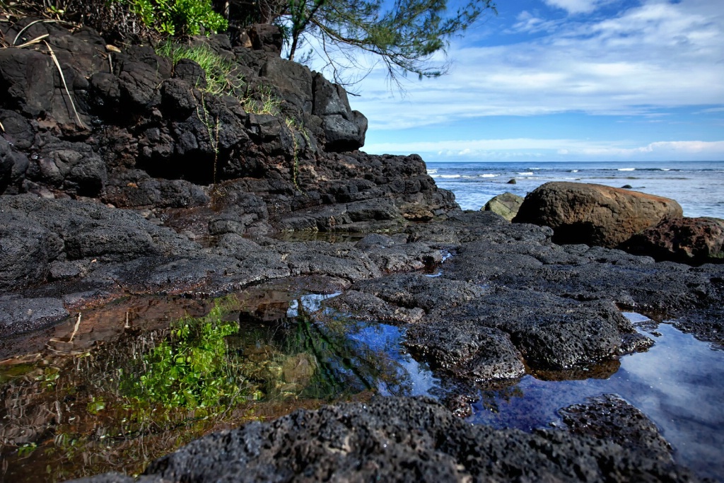 Tropical Tidepools