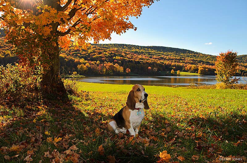 Thurman at Quaker Lake