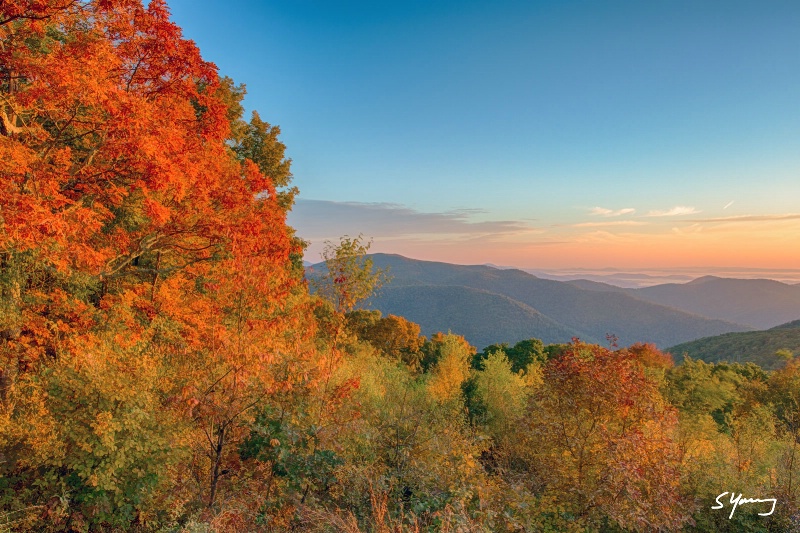Thorofare Mountain Color; Shenandoah NP - ID: 15254671 © Richard S. Young