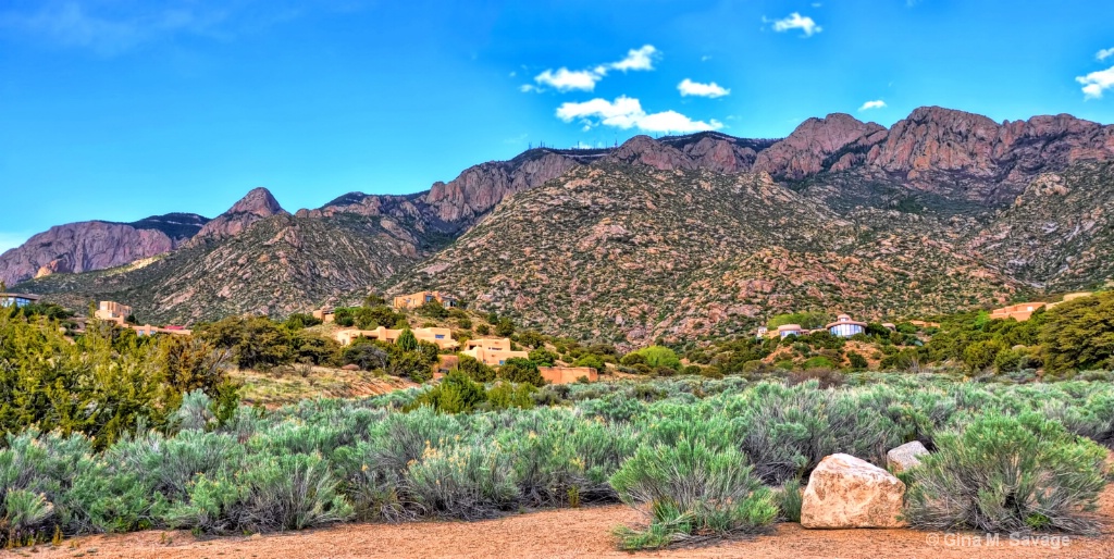 Sandias