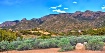 Sandias