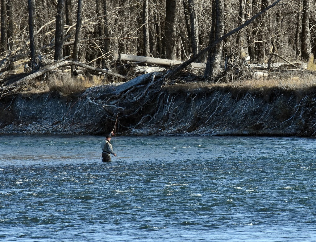 Fishing the Rapids