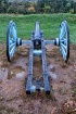Valley Forge Cann...