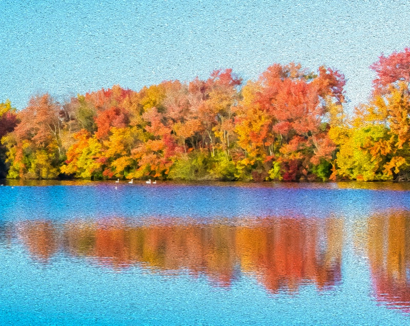 img4