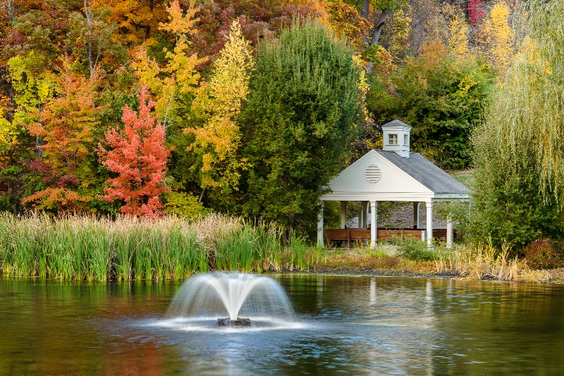 Autumn Beauty