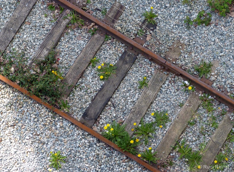 Old rail tracks