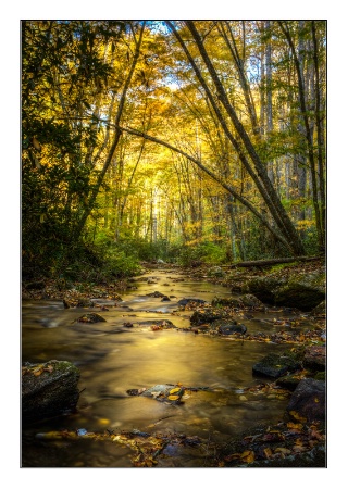 Autumn Stream