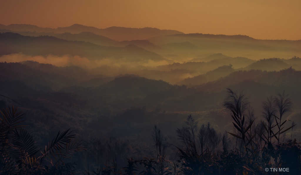 Misty Morning