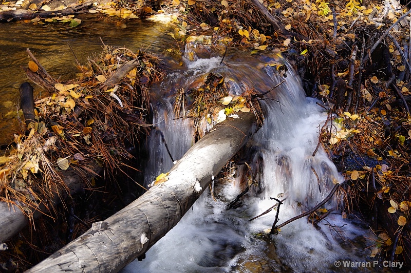 The soothing days of autumn