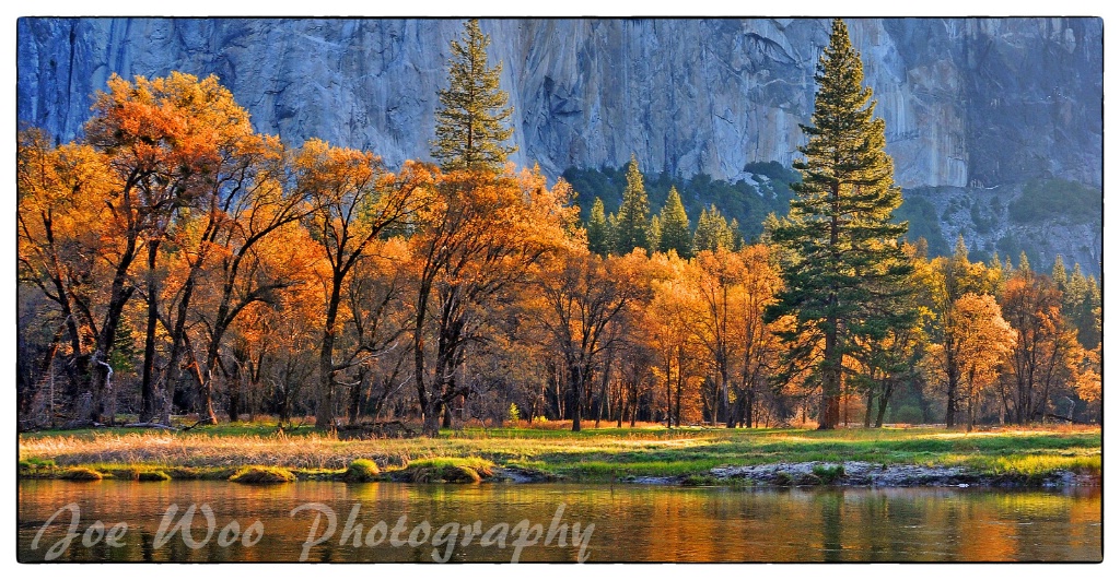 Yosemite Fall Color