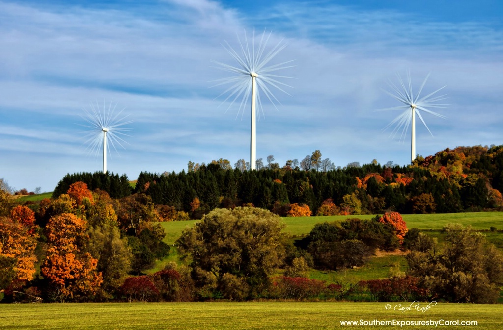 Madison Wind Farm - ID: 15259243 © Carol Eade