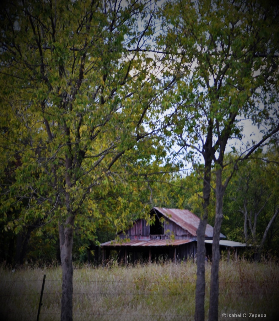 A very old barn