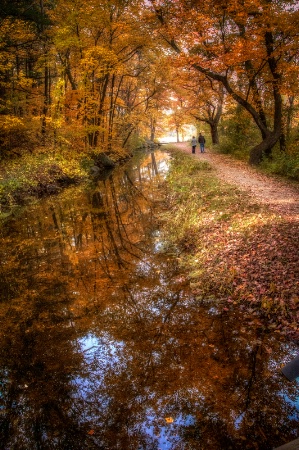 A Walk in the Woods