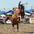 © Diane Garcia PhotoID# 15259941: Bronc Marriott UHS 2016 F Oakley BB 1.JPG