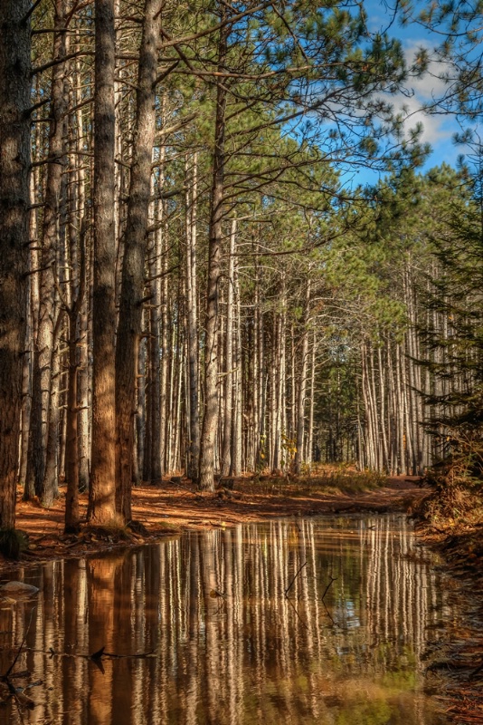 Reflections on the Trail