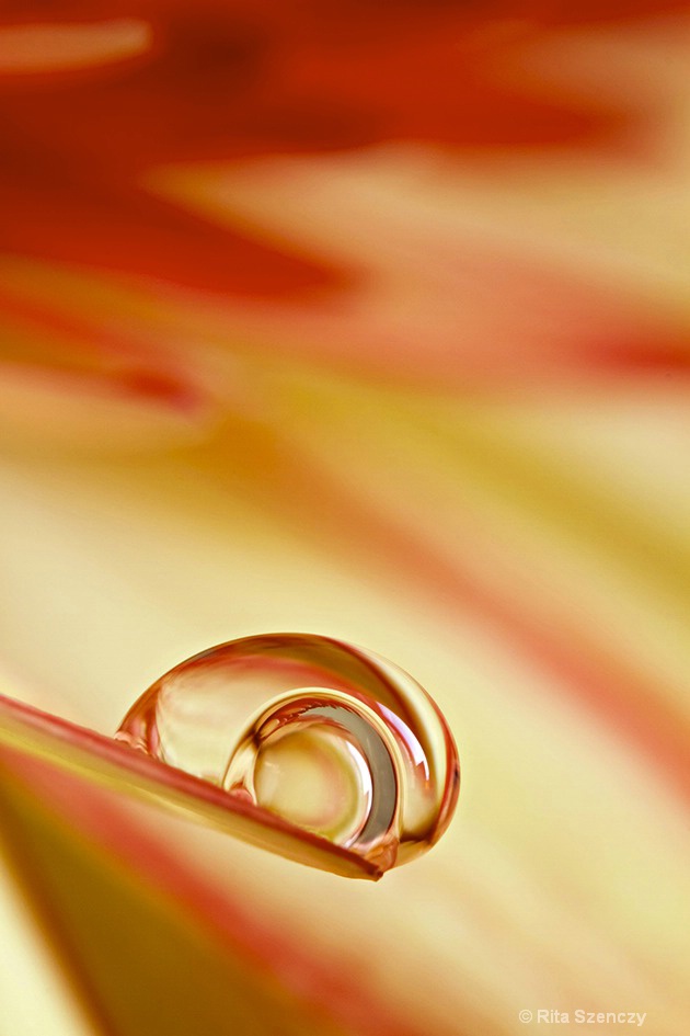 Droplet in a droplet