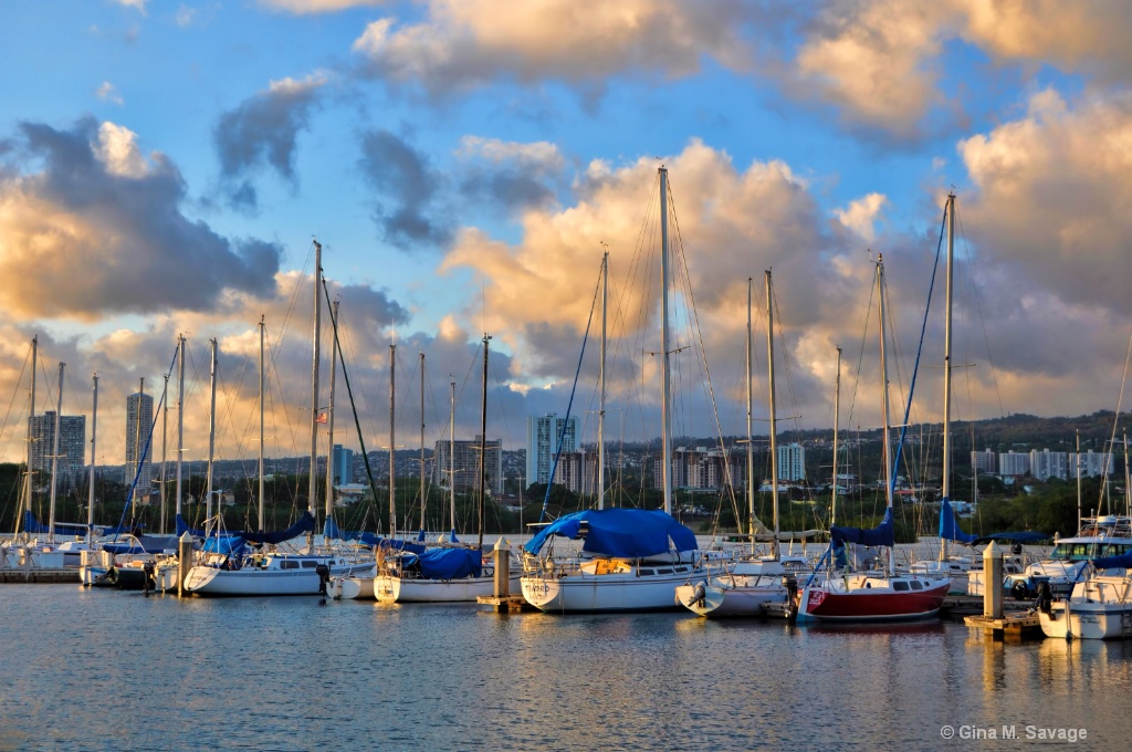 Rainbow Bay Marina