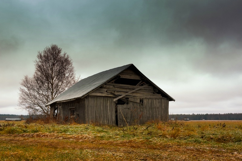 Frost On The Fields And Barns