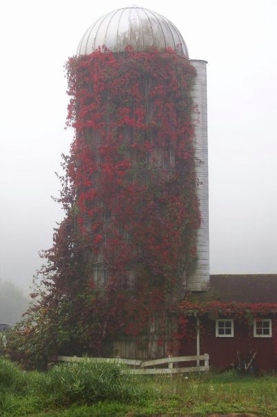 Autumn Silo