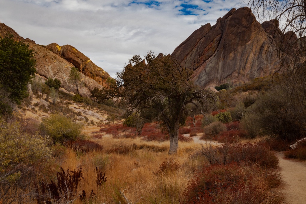 The Pinnacles