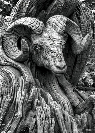 Ram Tree Carving