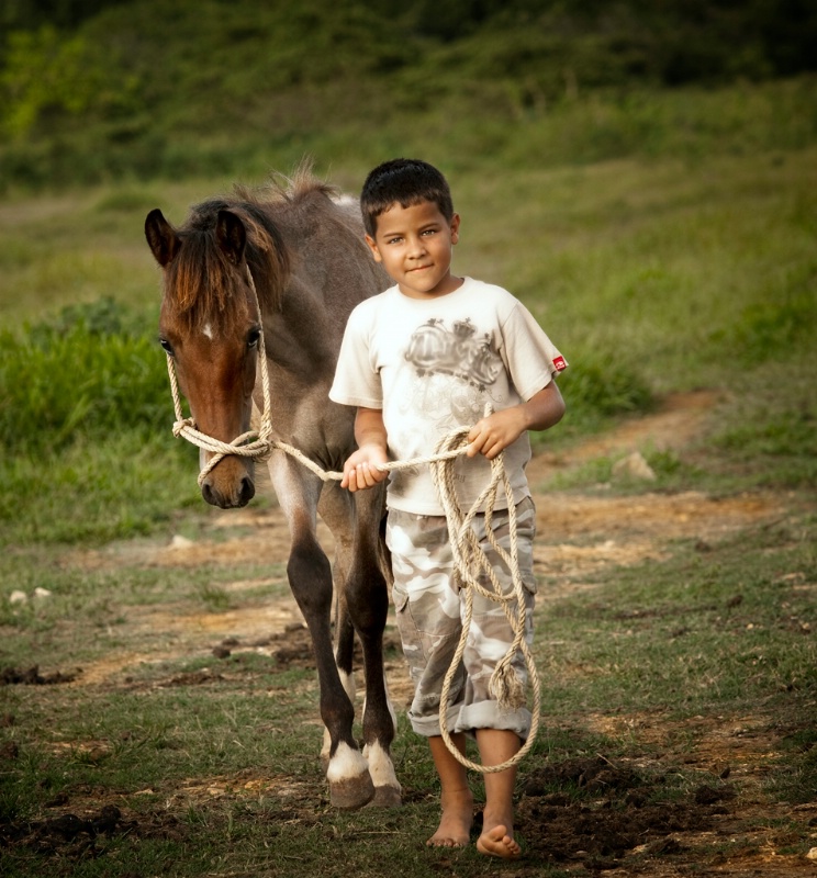 A Boy and His Pony