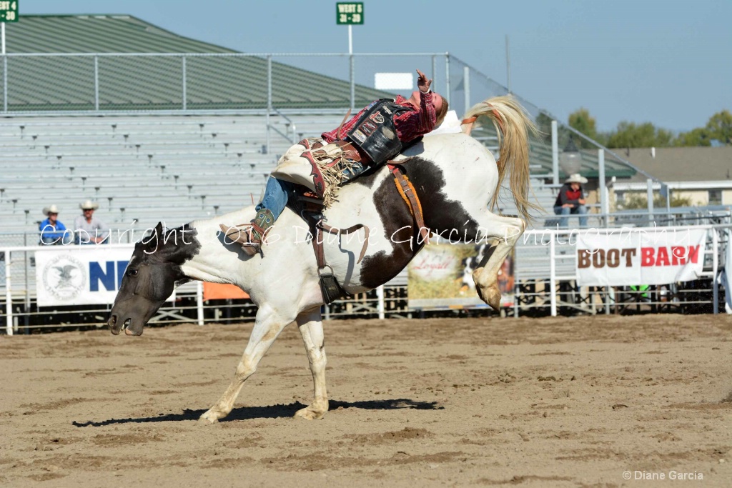 Bronc Marriott UHS 2016 S Oakley BB 9.JPG - ID: 15261940 © Diane Garcia