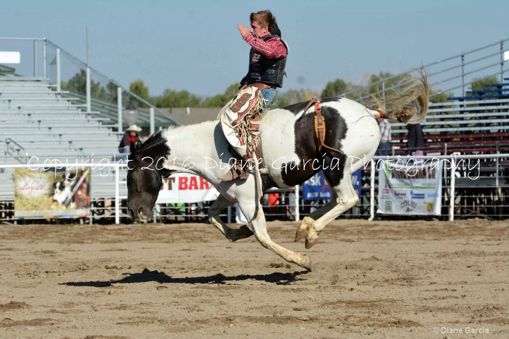 Bronc Marriott UHS 2016 S Oakley BB 8.JPG - ID: 15261941 © Diane Garcia