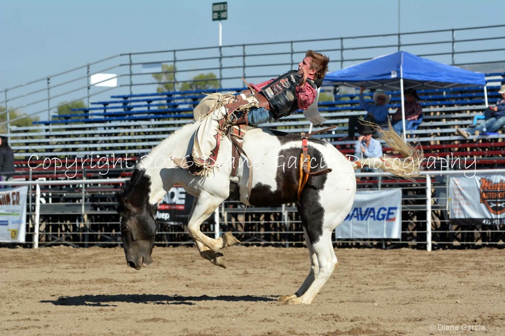 Bronc Marriott UHS 2016 S Oakley BB 7.JPG - ID: 15261942 © Diane Garcia