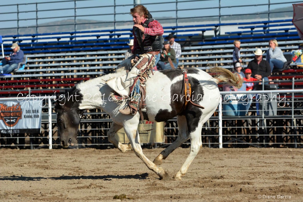 Bronc Marriott UHS 2016 S Oakley BB 5.JPG - ID: 15261944 © Diane Garcia