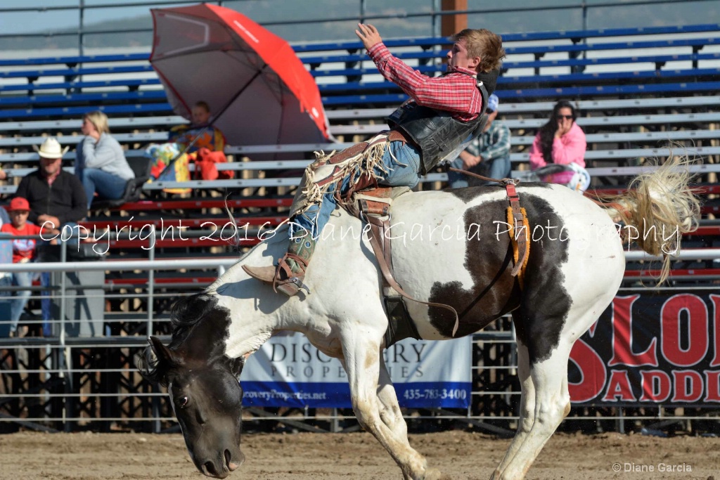 Bronc Marriott UHS 2016 S Oakley BB 4.JPG - ID: 15261945 © Diane Garcia