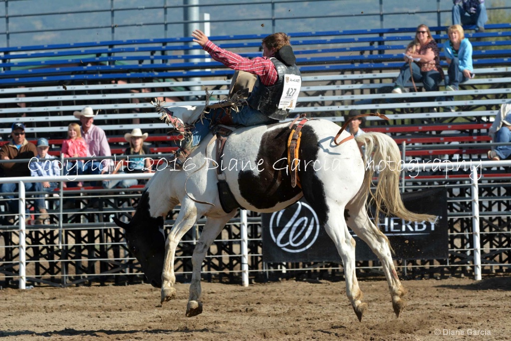 Bronc Marriott UHS 2016 S Oakley BB 2.JPG - ID: 15261947 © Diane Garcia