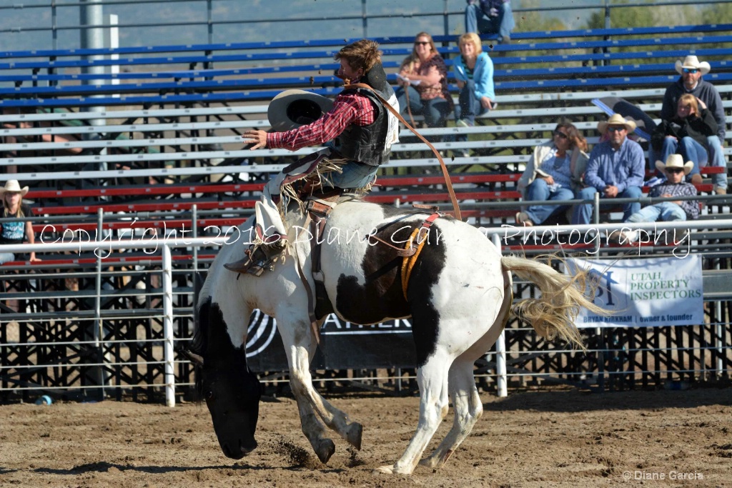 Bronc Marriott UHS 2016 S Oakley BB 1.JPG - ID: 15261948 © Diane Garcia