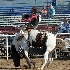 © Diane Garcia PhotoID# 15261948: Bronc Marriott UHS 2016 S Oakley BB 1.JPG