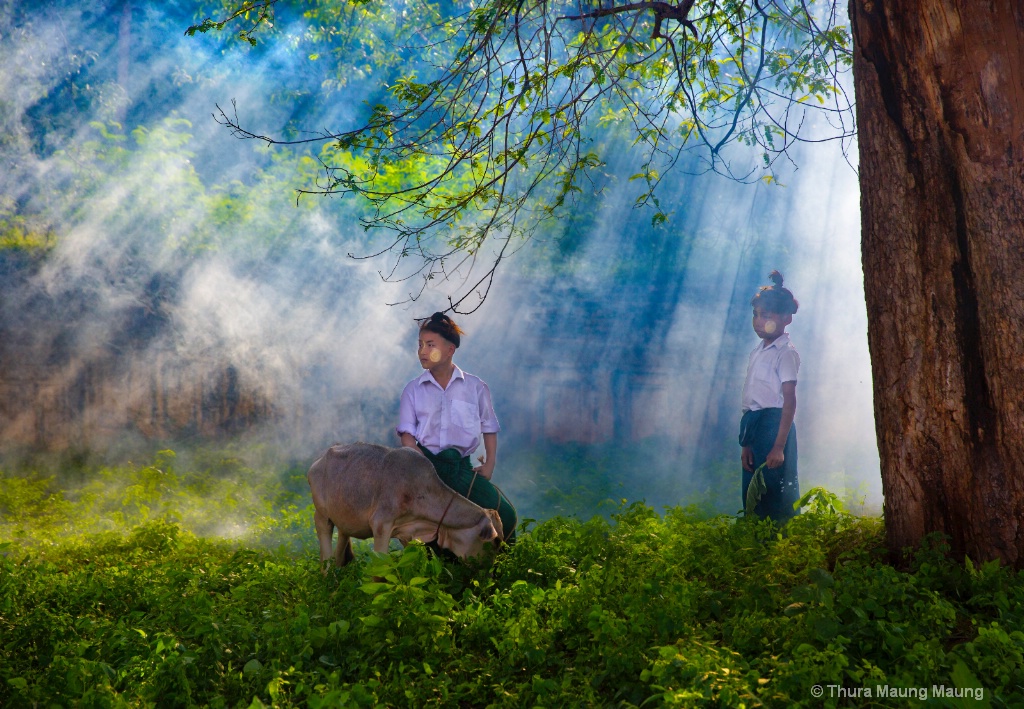 Myanmar Cowboys