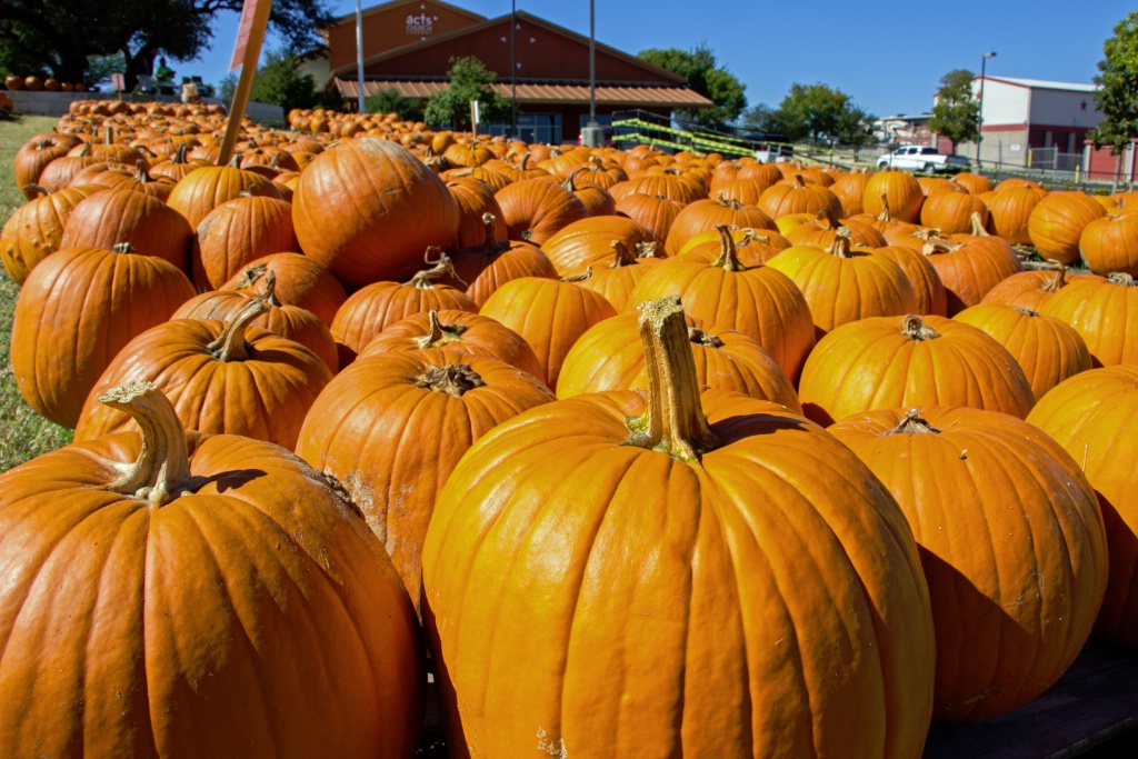 Lotsa Pumpkins