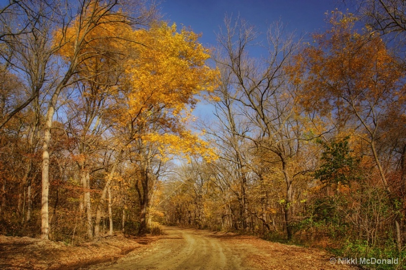 Loess Hills Drive in Autumn