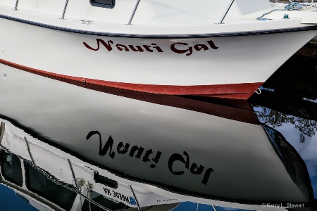 Nauti Gal